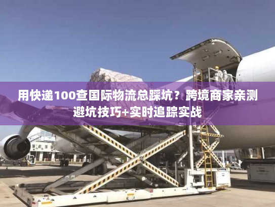 用快递100查国际物流总踩坑？跨境商家亲测避坑技巧+实时追踪实战