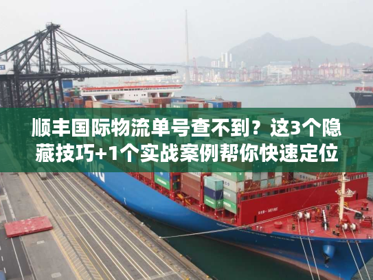 顺丰国际物流单号查不到？这3个隐藏技巧+1个实战案例帮你快速定位包裹