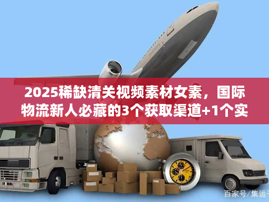 2025稀缺清关视频素材女素，国际物流新人必藏的3个获取渠道+1个实战案例