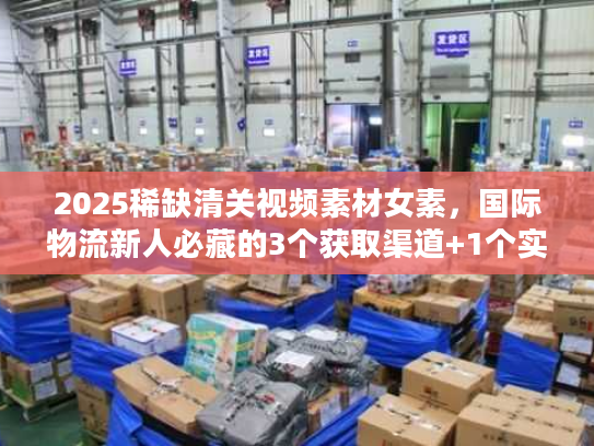 2025稀缺清关视频素材女素，国际物流新人必藏的3个获取渠道+1个实战案例