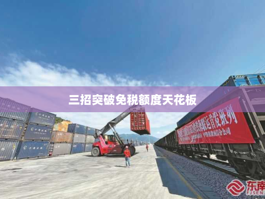 三招突破免税额度天花板 三招突破免税额度天花板