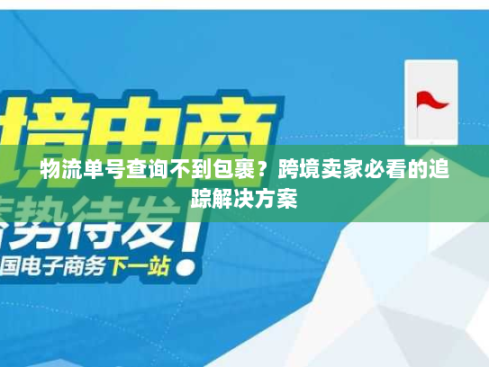 物流单号查询不到包裹?跨境卖家必看的追踪解决方案 物流单号查询不到包裹?跨境卖家必看的追踪解决方案
