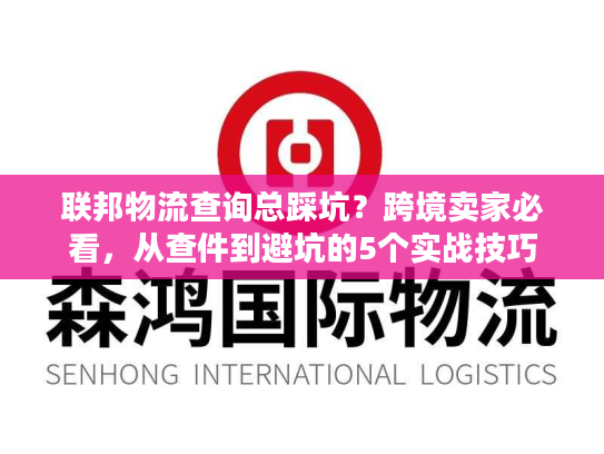 联邦物流查询总踩坑？跨境卖家必看，从查件到避坑的5个实战技巧