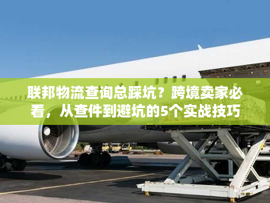 联邦物流查询总踩坑？跨境卖家必看，从查件到避坑的5个实战技巧
