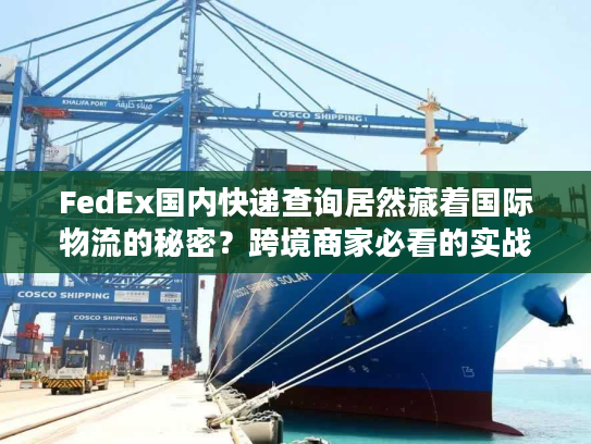 FedEx国内快递查询居然藏着国际物流的秘密？跨境商家必看的实战细节