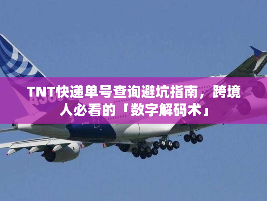 TNT快递单号查询避坑指南，跨境人必看的「数字解码术」