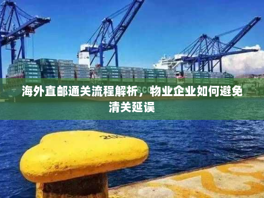 海外直邮通关流程解析，物业企业如何避免清关延误