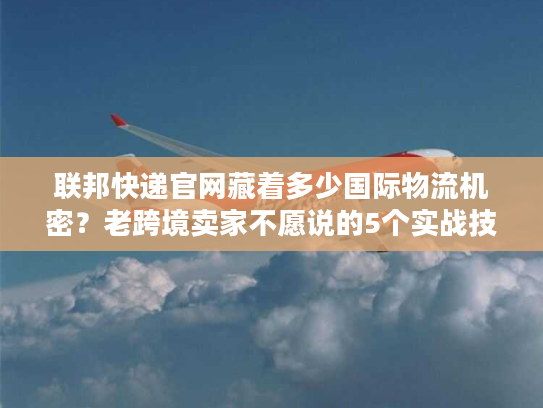 联邦快递官网藏着多少国际物流机密？老跨境卖家不愿说的5个实战技巧