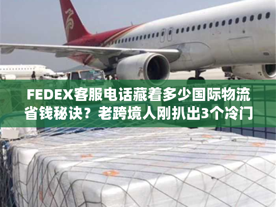FEDEX客服电话藏着多少国际物流省钱秘诀？老跨境人刚扒出3个冷门用法