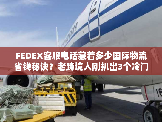 FEDEX客服电话藏着多少国际物流省钱秘诀？老跨境人刚扒出3个冷门用法