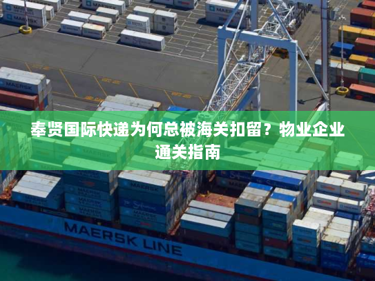 奉贤国际快递为何总被海关扣留?物业企业通关指南 奉贤国际快递为何总被海关扣留?物业企业通关指南