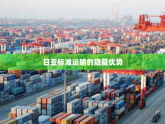 日亚标准运输的隐藏优势 日亚标准运输的隐藏优势