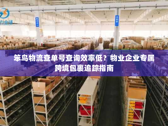 笨鸟物流查单号查询效率低?物业企业专属跨境包裹追踪指南 笨鸟物流查单号查询效率低?物业企业专属跨境包裹追踪指南