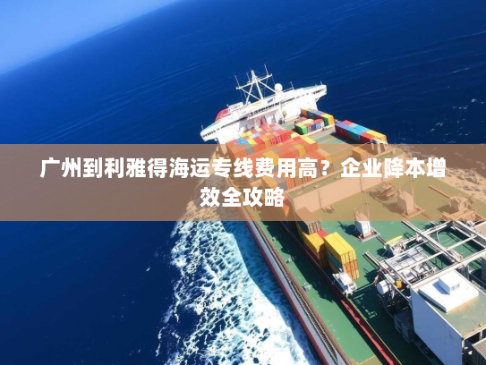 广州到利雅得海运专线费用高？企业降本增效全攻略