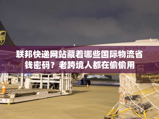 联邦快递网站藏着哪些国际物流省钱密码？老跨境人都在偷偷用