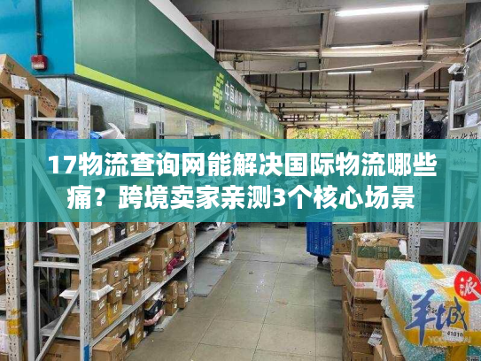17物流查询网能解决国际物流哪些痛?跨境卖家亲测3个核心场景 17物流查询网能解决国际物流哪些痛?跨境卖家亲测3个核心场景