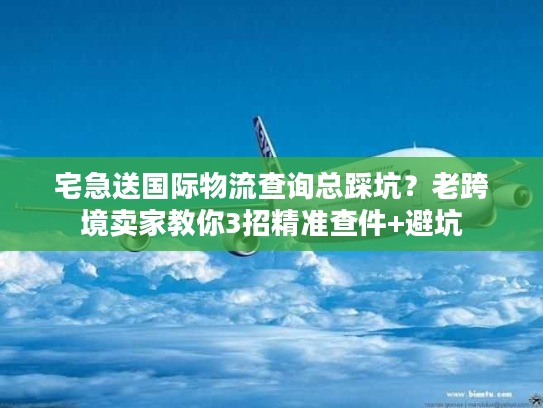 宅急送国际物流查询总踩坑？老跨境卖家教你3招精准查件+避坑