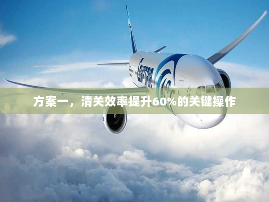 方案一,清关效率提升60%的关键操作 方案一,清关效率提升60%的关键操作