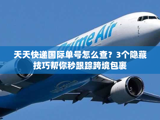 天天快递国际单号怎么查？3个隐藏技巧帮你秒跟踪跨境包裹