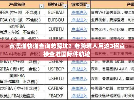 赛澳递快递查询总踩坑？老跨境人用这3招直接查准国际件轨迹