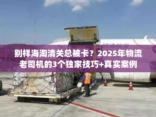 别样海淘清关总被卡?2025年物流老司机的3个独家技巧+真实案例 别样海淘清关总被卡?2025年物流老司机的3个独家技巧+真实案例