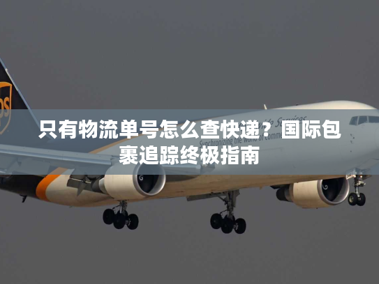 只有物流单号怎么查快递?国际包裹追踪终极指南 只有物流单号怎么查快递?国际包裹追踪终极指南