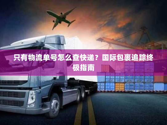 只有物流单号怎么查快递?国际包裹追踪终极指南 只有物流单号怎么查快递?国际包裹追踪终极指南