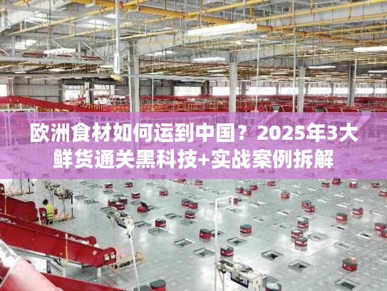欧洲食材如何运到中国?2025年3大鲜货通关黑科技+实战案例拆解 欧洲食材如何运到中国?2025年3大鲜货通关黑科技+实战案例拆解