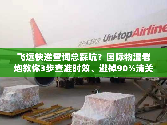 飞远快递查询总踩坑？国际物流老炮教你3步查准时效、避掉90%清关雷