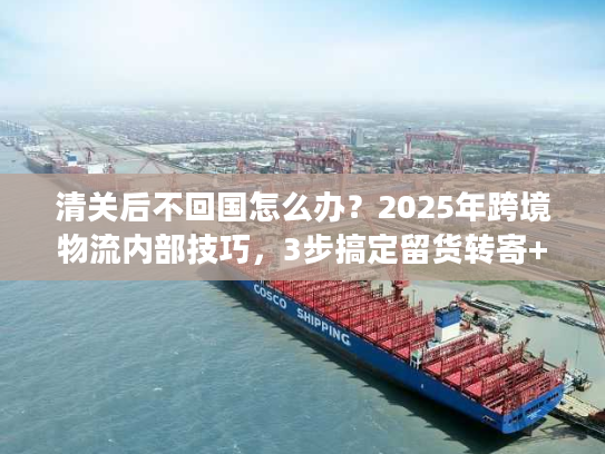 清关后不回国怎么办？2025年跨境物流内部技巧，3步搞定留货转寄+省50%成本