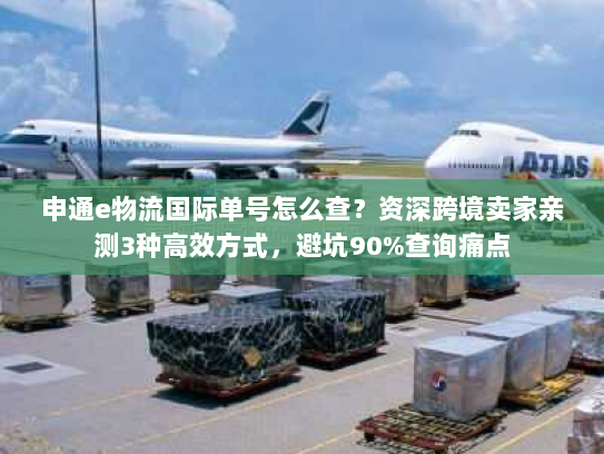 申通e物流国际单号怎么查？资深跨境卖家亲测3种高效方式，避坑90%查询痛点