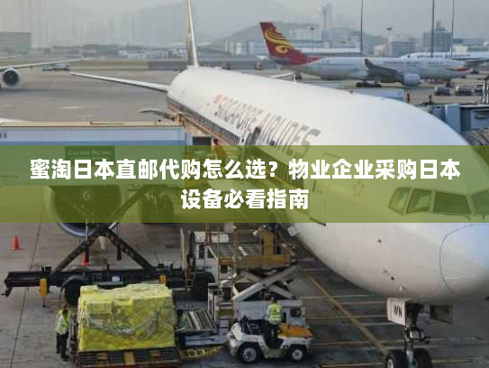 蜜淘日本直邮代购怎么选?物业企业采购日本设备必看指南 蜜淘日本直邮代购怎么选?物业企业采购日本设备必看指南