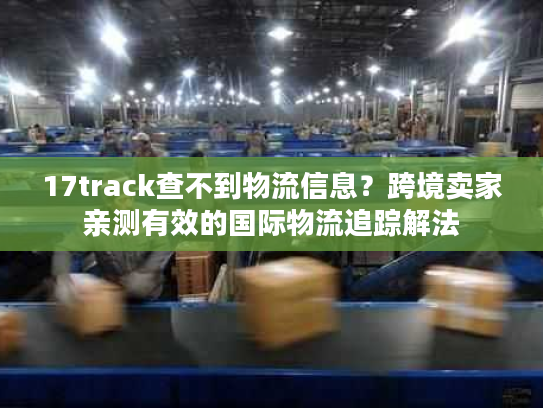 17track查不到物流信息？跨境卖家亲测有效的国际物流追踪解法