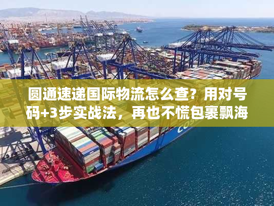 圆通速递国际物流怎么查？用对号码+3步实战法，再也不慌包裹飘海外！