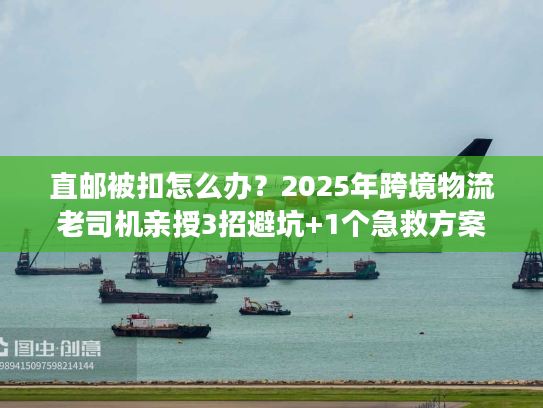 直邮被扣怎么办?2025年跨境物流老司机亲授3招避坑+1个急救方案 直邮被扣怎么办?2025年跨境物流老司机亲授3招避坑+1个急救方案