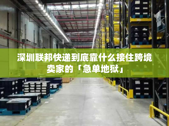 深圳联邦快递到底靠什么接住跨境卖家的「急单地狱」