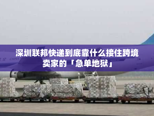 深圳联邦快递到底靠什么接住跨境卖家的「急单地狱」