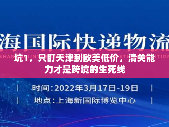 坑1，只盯天津到欧美低价，清关能力才是跨境的生死线