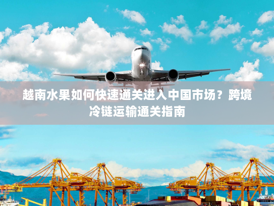 越南水果如何快速通关进入中国市场?跨境冷链运输通关指南 越南水果如何快速通关进入中国市场?跨境冷链运输通关指南