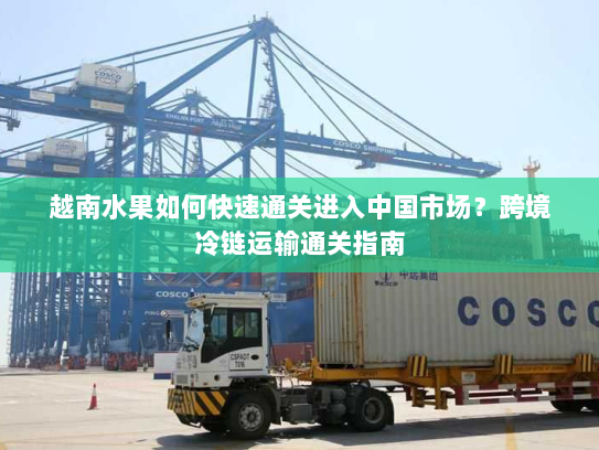 越南水果如何快速通关进入中国市场?跨境冷链运输通关指南 越南水果如何快速通关进入中国市场?跨境冷链运输通关指南