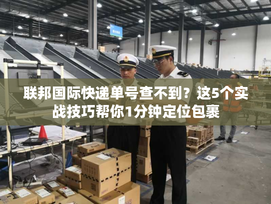 联邦国际快递单号查不到？这5个实战技巧帮你1分钟定位包裹