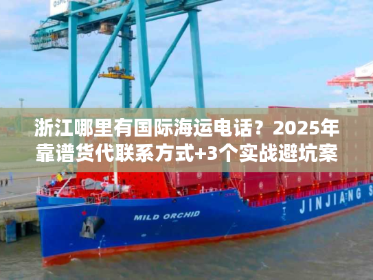 浙江哪里有国际海运电话？2025年靠谱货代联系方式+3个实战避坑案例