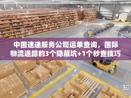 中国速递服务公司运单查询，国际物流追踪的3个隐藏坑+1个秒查技巧