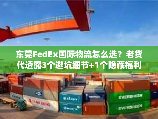东莞FedEx国际物流怎么选？老货代透露3个避坑细节+1个隐藏福利