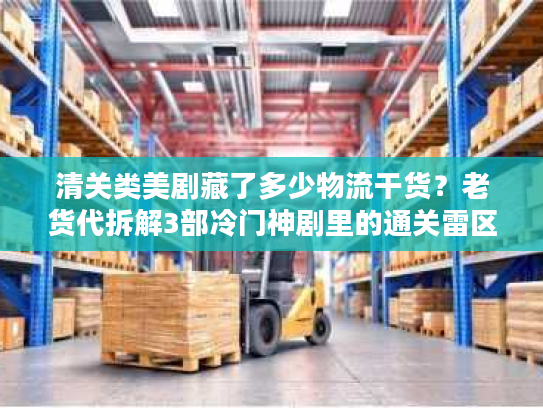 清关类美剧藏了多少物流干货？老货代拆解3部冷门神剧里的通关雷区