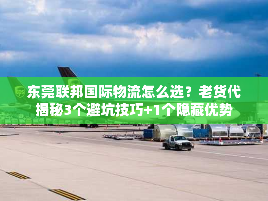 东莞联邦国际物流怎么选？老货代揭秘3个避坑技巧+1个隐藏优势