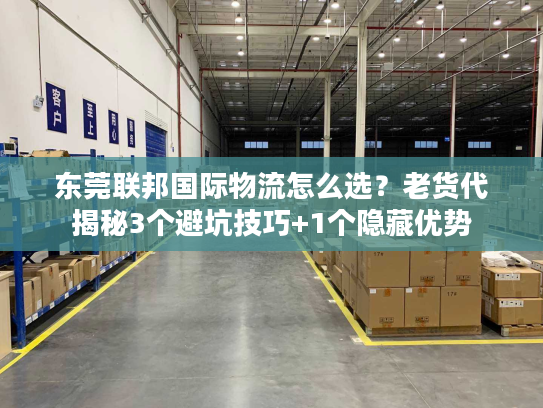东莞联邦国际物流怎么选？老货代揭秘3个避坑技巧+1个隐藏优势