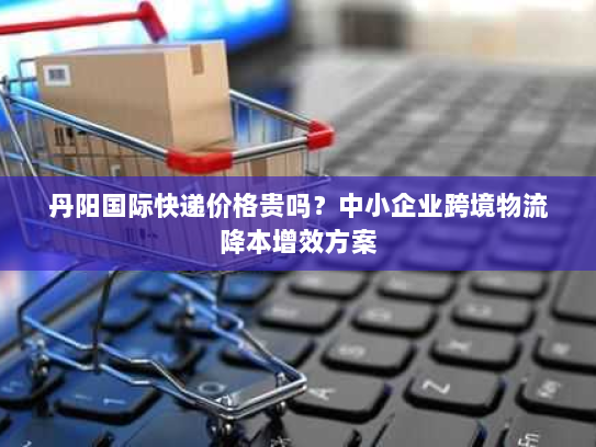 丹阳国际快递价格贵吗？中小企业跨境物流降本增效方案