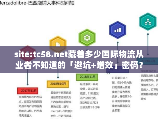 site:tc58.net藏着多少国际物流从业者不知道的「避坑+增效」密码？