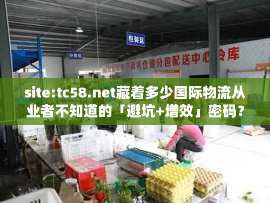 site:tc58.net藏着多少国际物流从业者不知道的「避坑+增效」密码？
